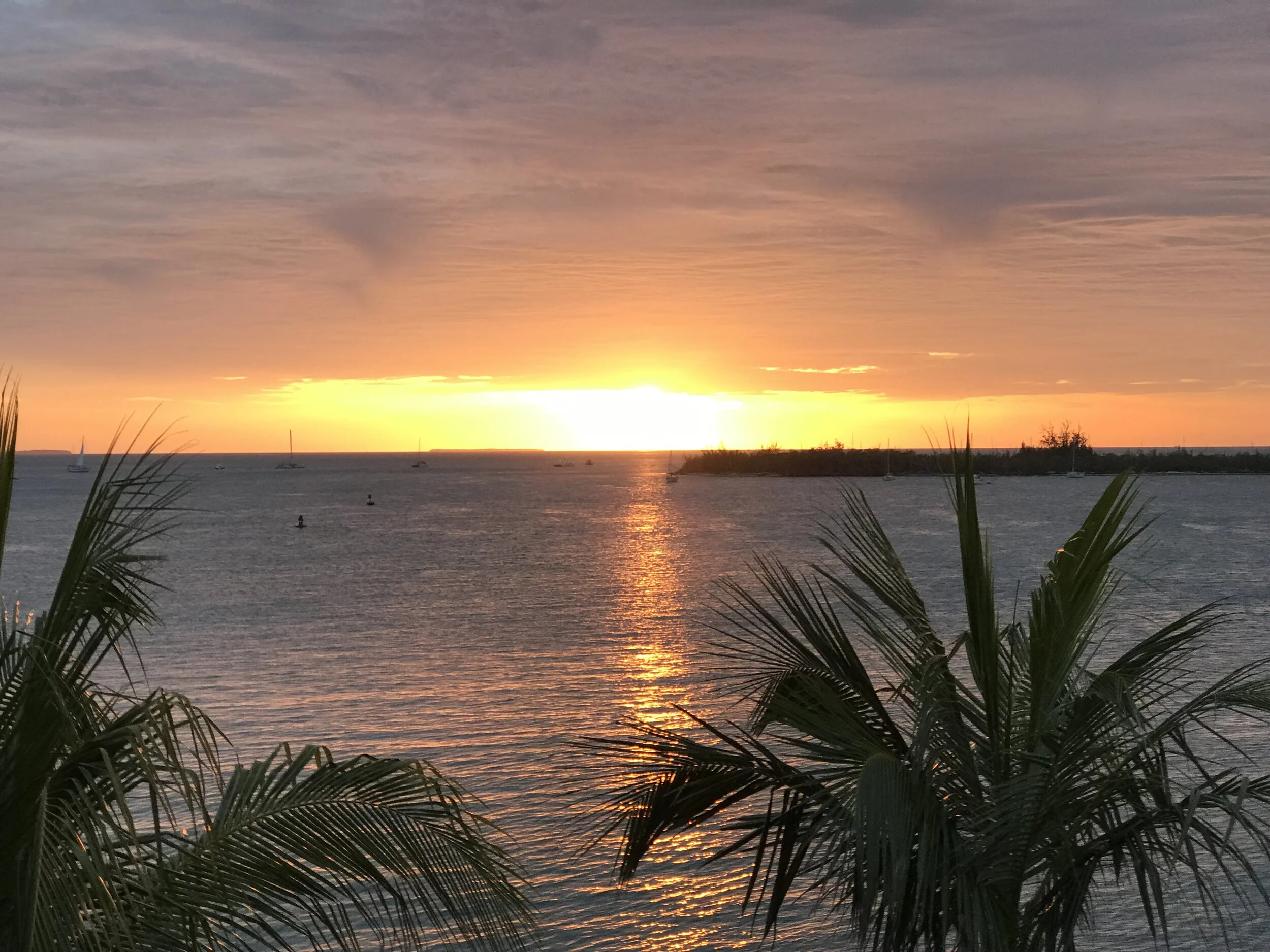 Best Dive Bars in Key West — Go Roam Explore