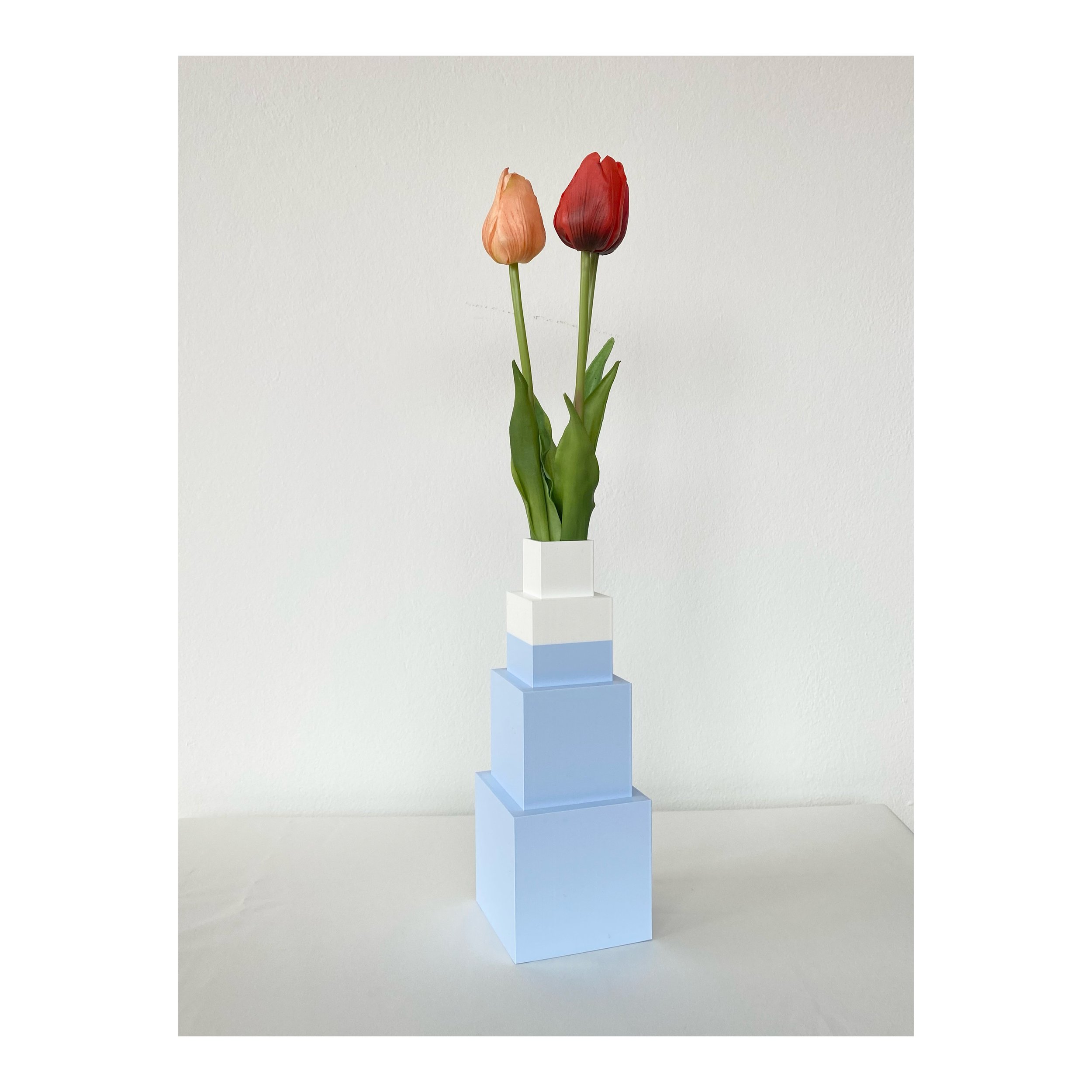 Whitagram-Image 41.JPG
