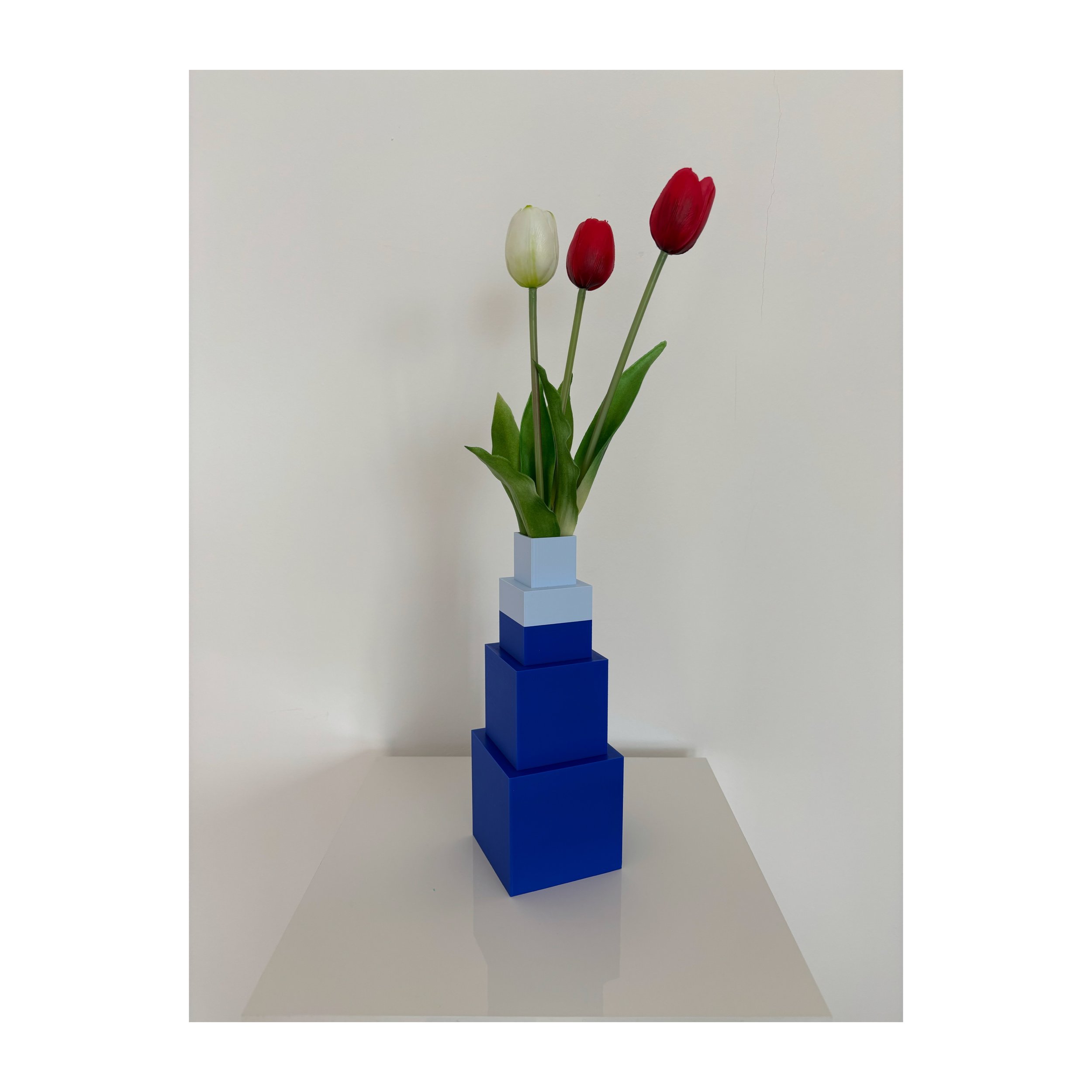 Whitagram-Image 15.JPG