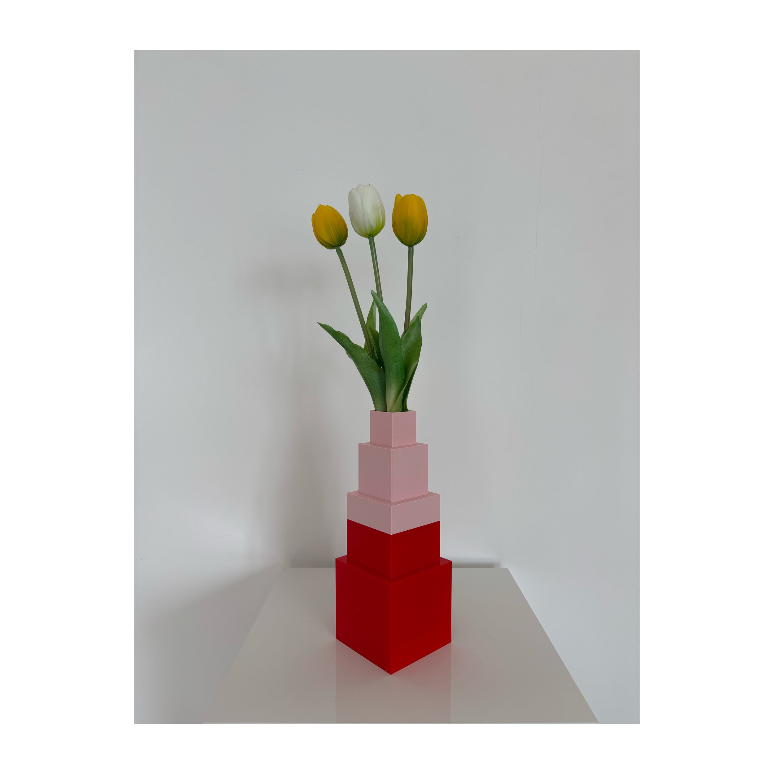 Whitagram-Image 14.JPG