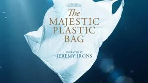 Majestic-Bag.jpg