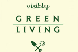 VGL_SStkLogo_small.jpg
