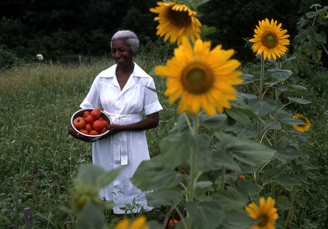 edna_lewis_inthe_field.jpg