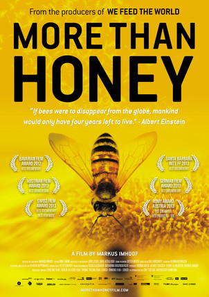 More-than-honey.jpg