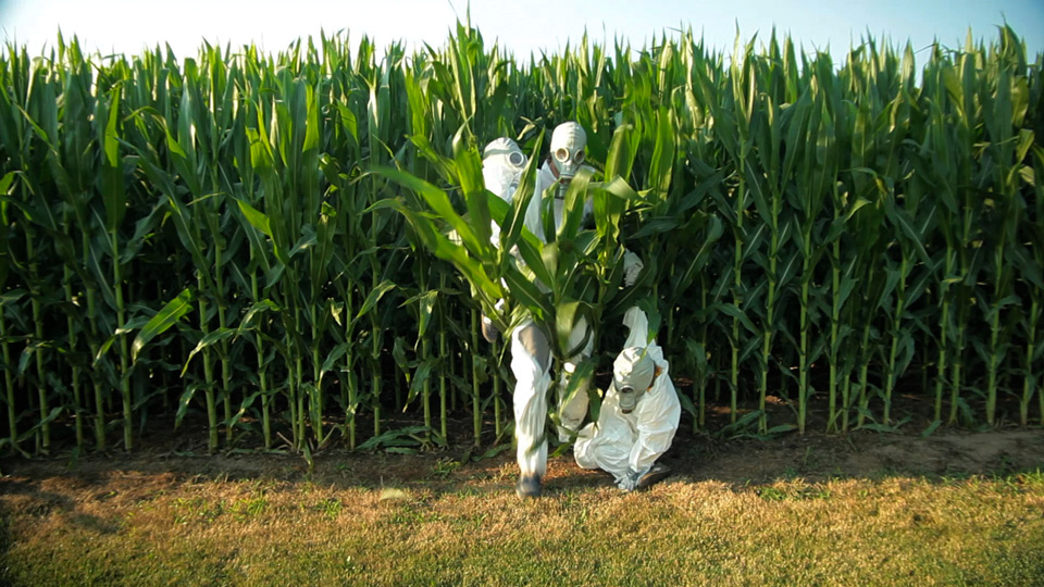gmo-omg-corn.jpg
