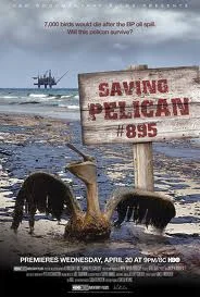 Saving-pelican.jpg