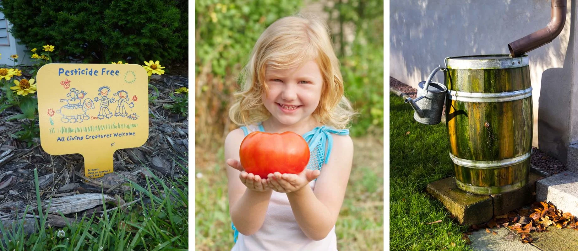 Pesticide free grass sign, a little girls holds a tomato, and a rainbarrel. All sustainable.