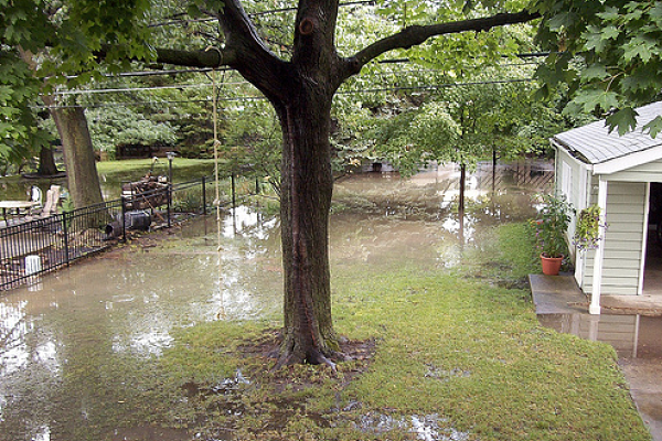 A flooded yard.