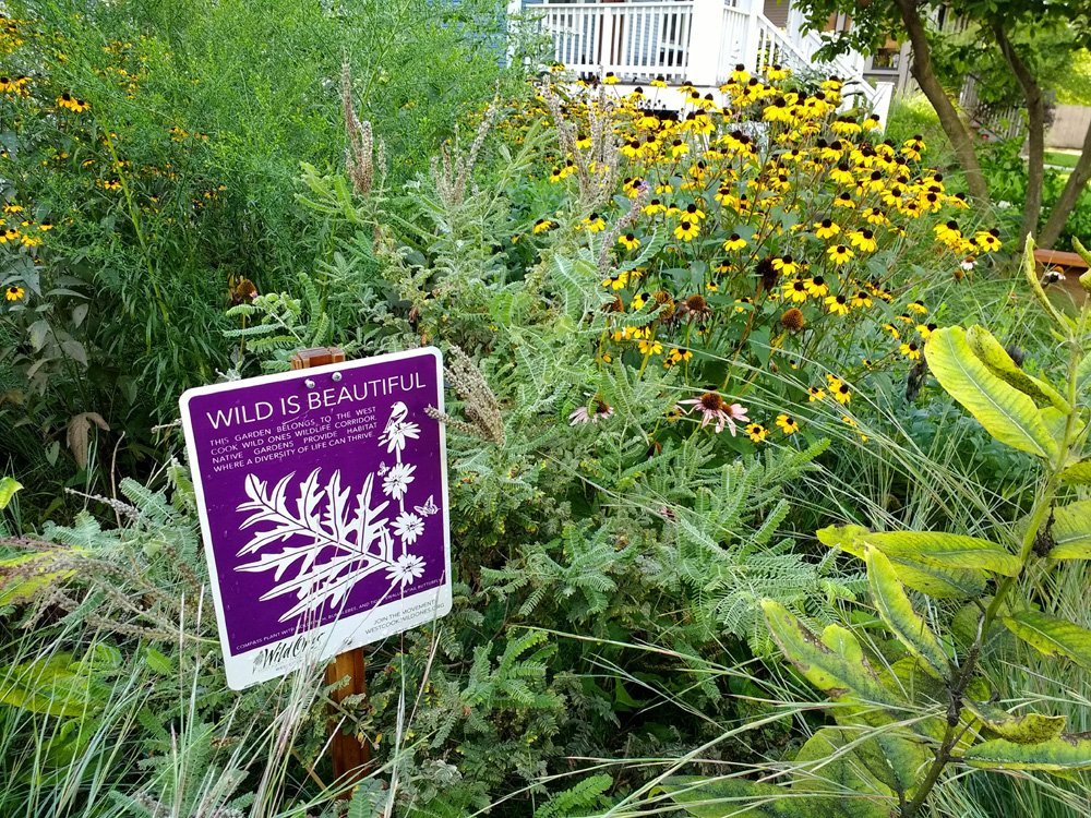 A prairie garden greets visitors in the family's front yard.
