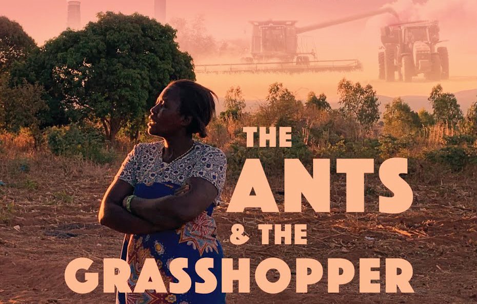 'The Ants & The Grasshopper' Watch Party