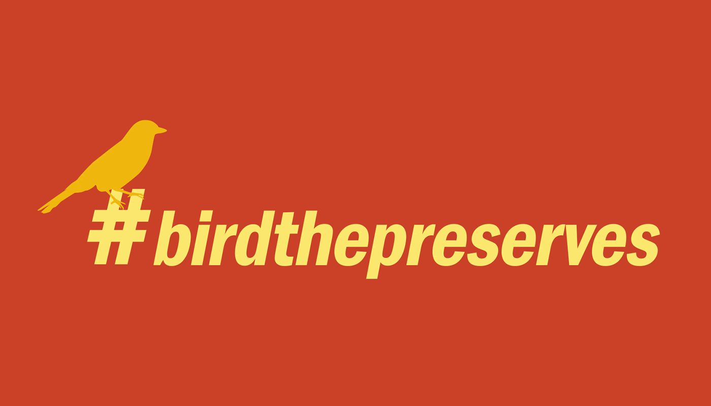 Be a Better Birder: Tips for Learning to Identify Bird Songs