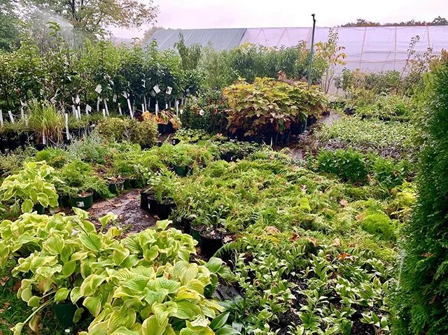 So many planting projects happening right now! Nice work team.