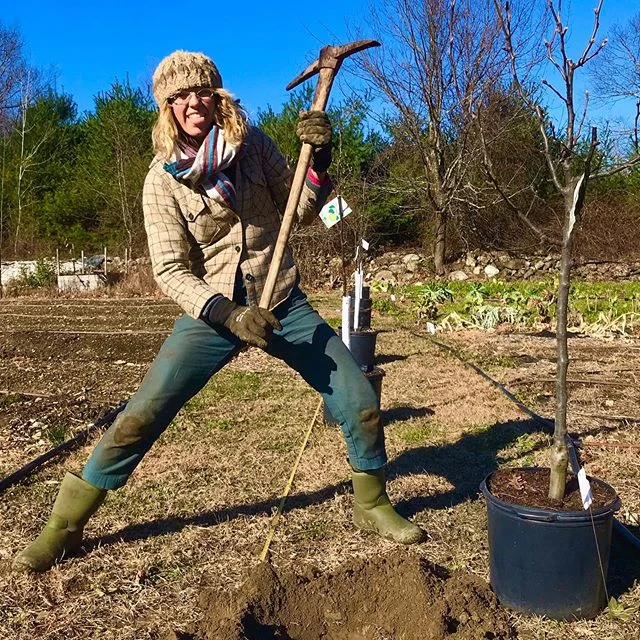 Our awesome team is still installing #ediblegardens and #orchards full time and working steadily into the winter! We just planted 29 fruit trees on a small local farm. We&rsquo;re so grateful for our #awesomeclients.