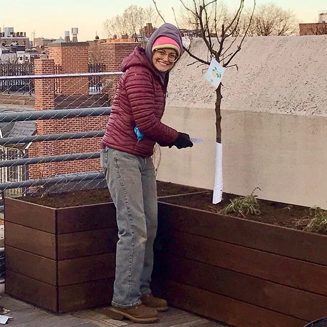We&rsquo;re building a #roofdeck #vegetablegarden in the NorthEnd of Boston! Planting #fruittrees and #herbs in December, less than a week from #wintersolstice!!! We&rsquo;re so grateful to be working on what we love to do. Thank you awesome team. Th