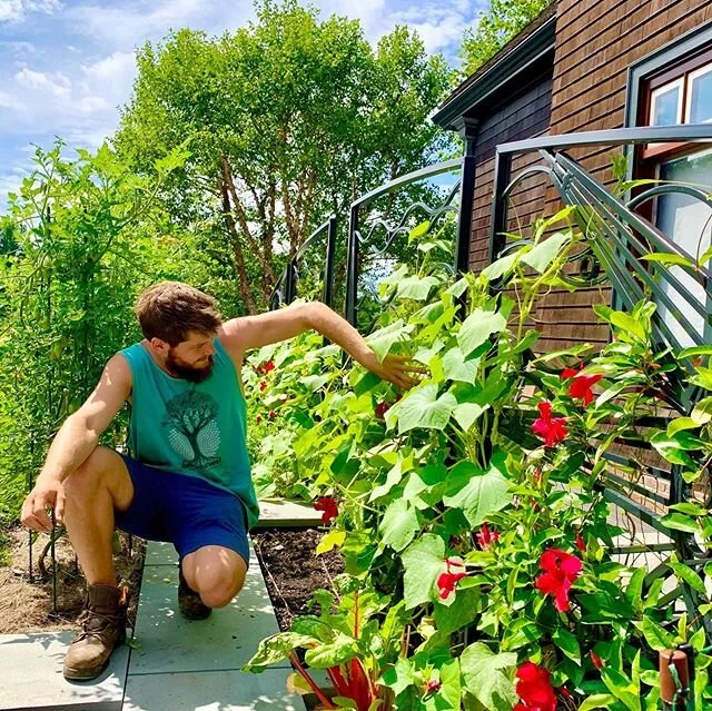 We&rsquo;re looking forward to seeing this amazing garden we installed thriving again in 2020! #gardenart #kitchengarden #raisedbeds #urbanfarming #growyourown #vegetablegarden