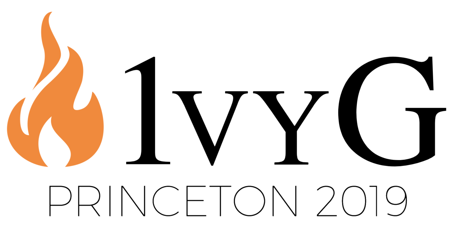 1vyG 2019