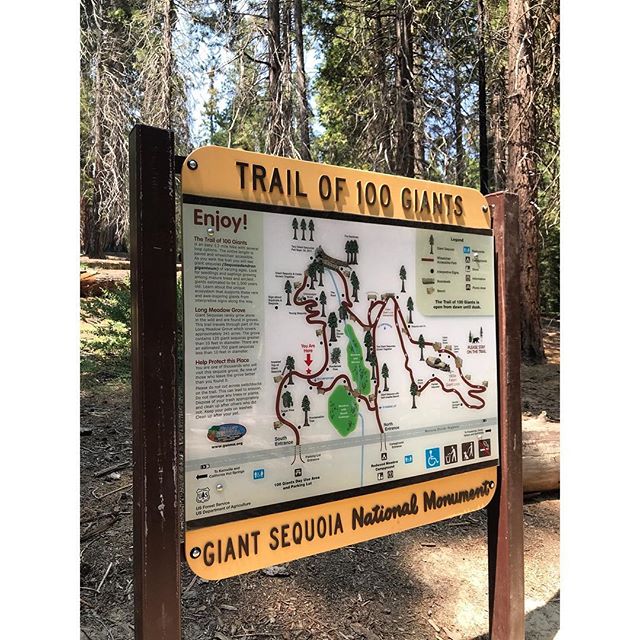 Visited some giants 🌲
#sequoianationalforest #trailof100giants #giantsequoianationalmonument #getoutdoors #getoutandexplore