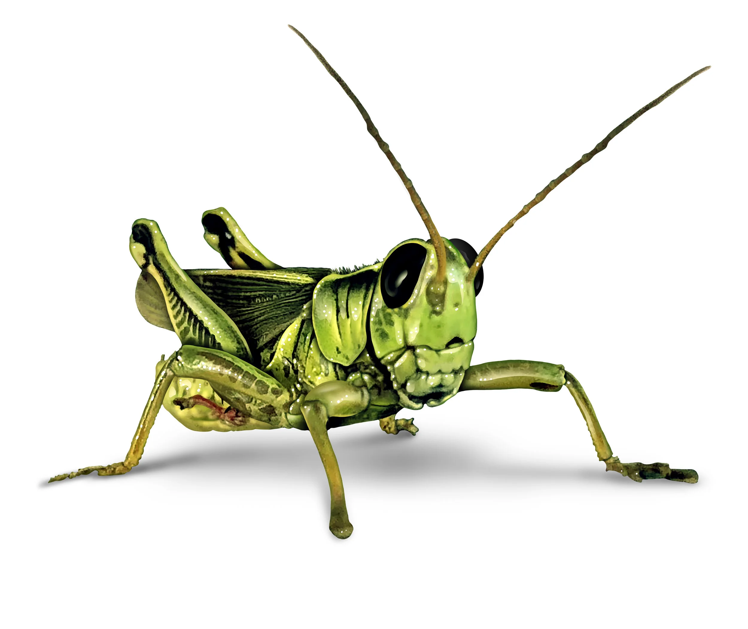 AdobeStock_221625300.jpeg
