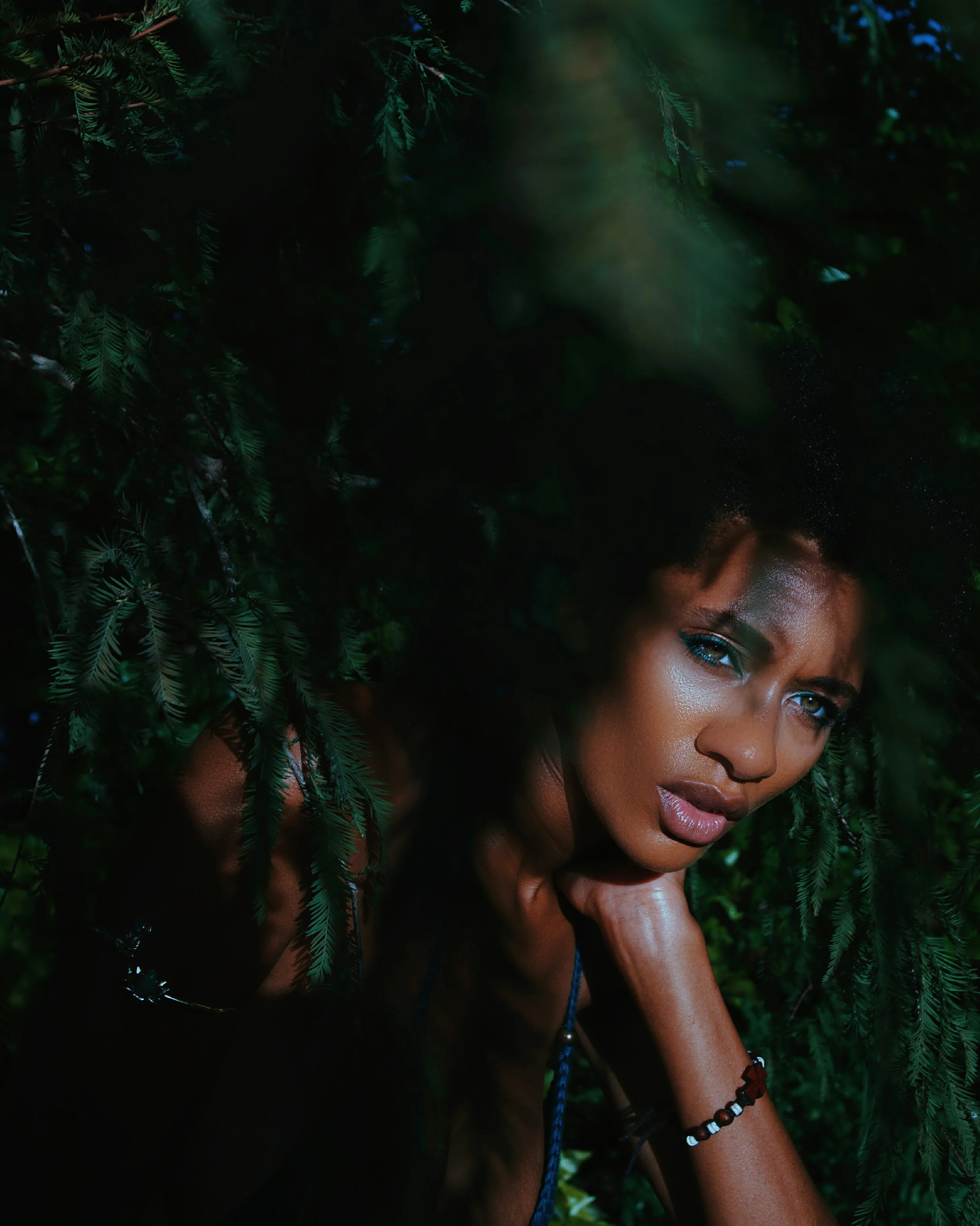kellz bush 2.jpg