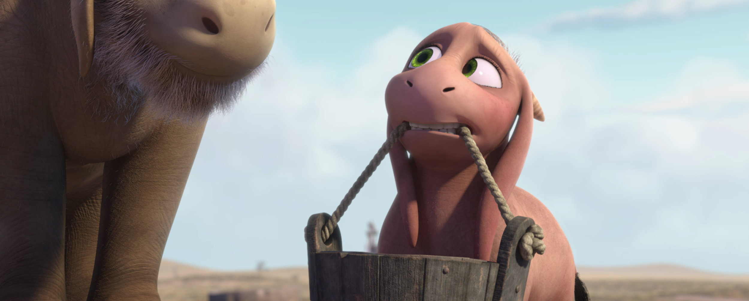 rue_with_bucket.jpg