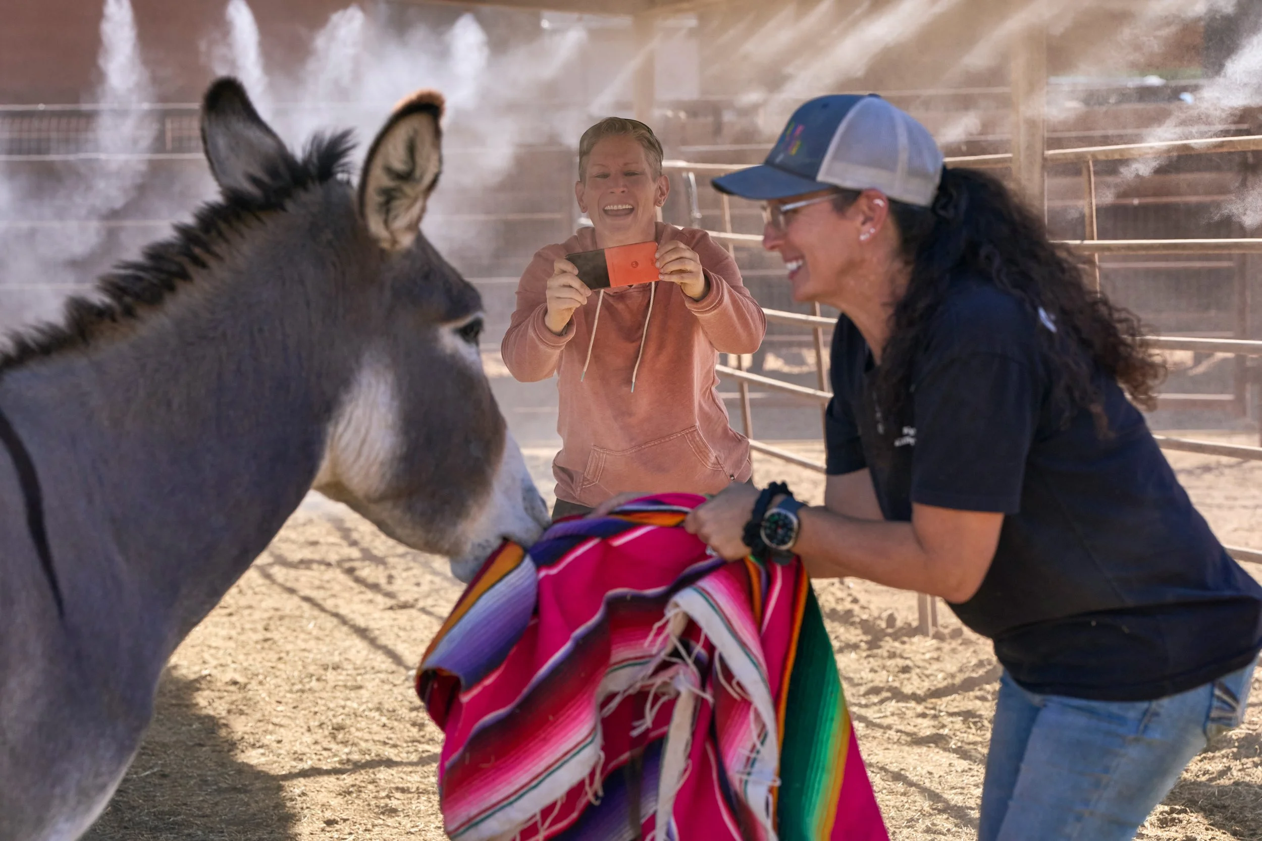 Consumer_Cellular_Animal Farm_7997.jpg