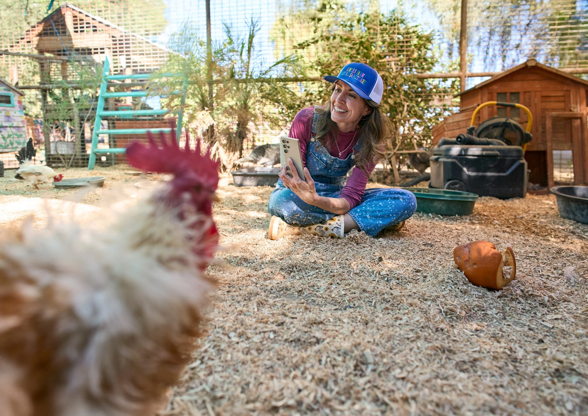 Consumer_Cellular_Animal Farm_8754.jpg