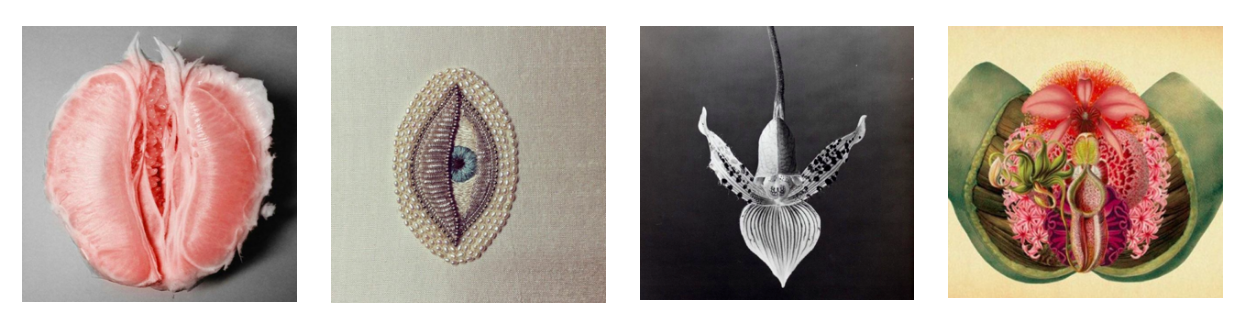 Pieces of “El Jardín de Eva” Mood Board, Photos Courtesy of Atelier Crump
