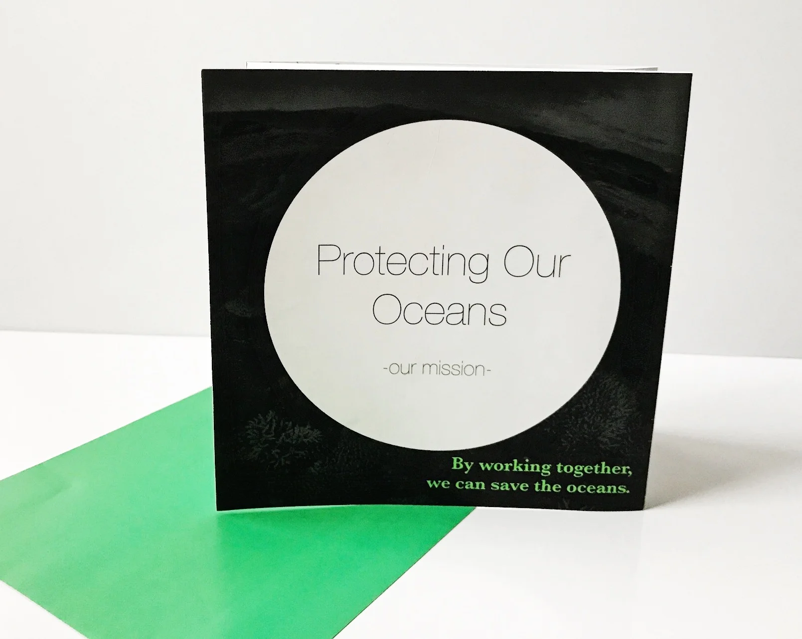 3169B384-A7D7-476A-B4A6-C1DB8AB004E8 2.JPG