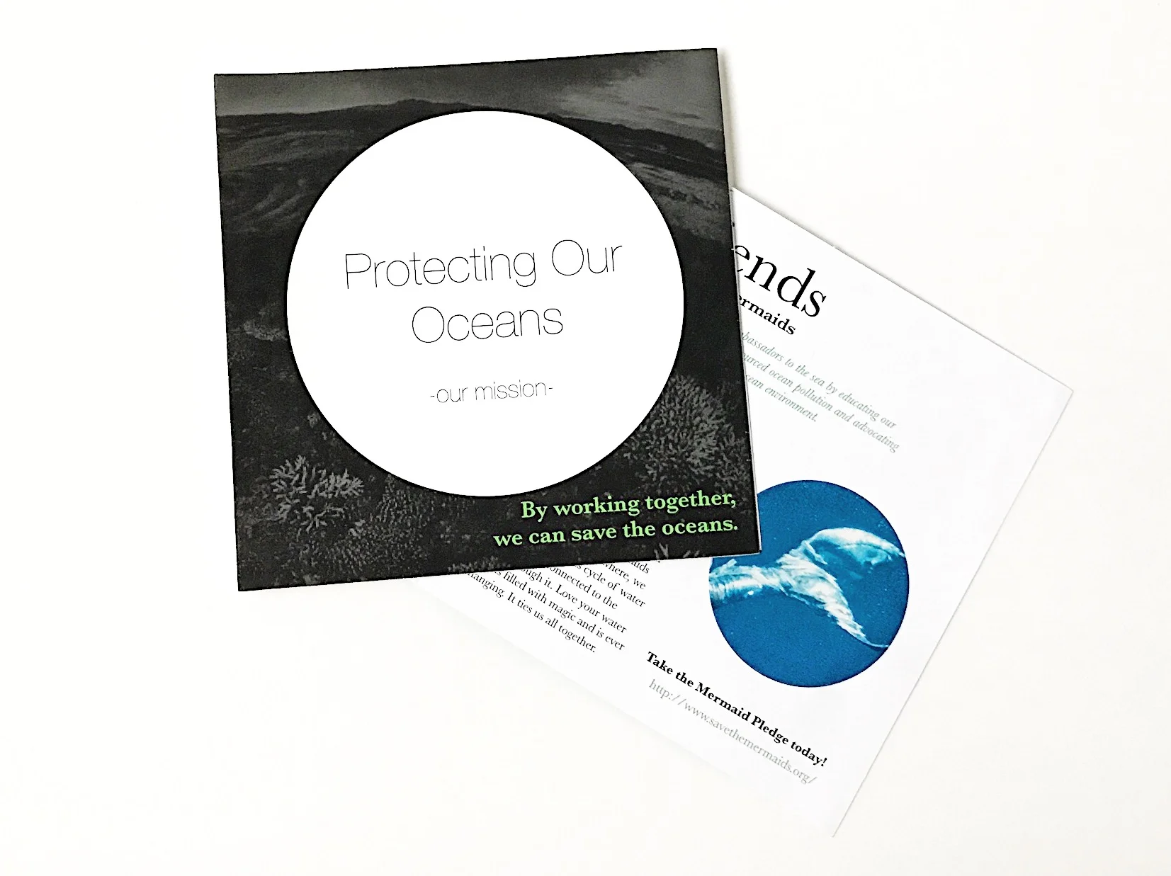 11140674-DC0F-4305-A655-AFFFD5834283 2.JPG