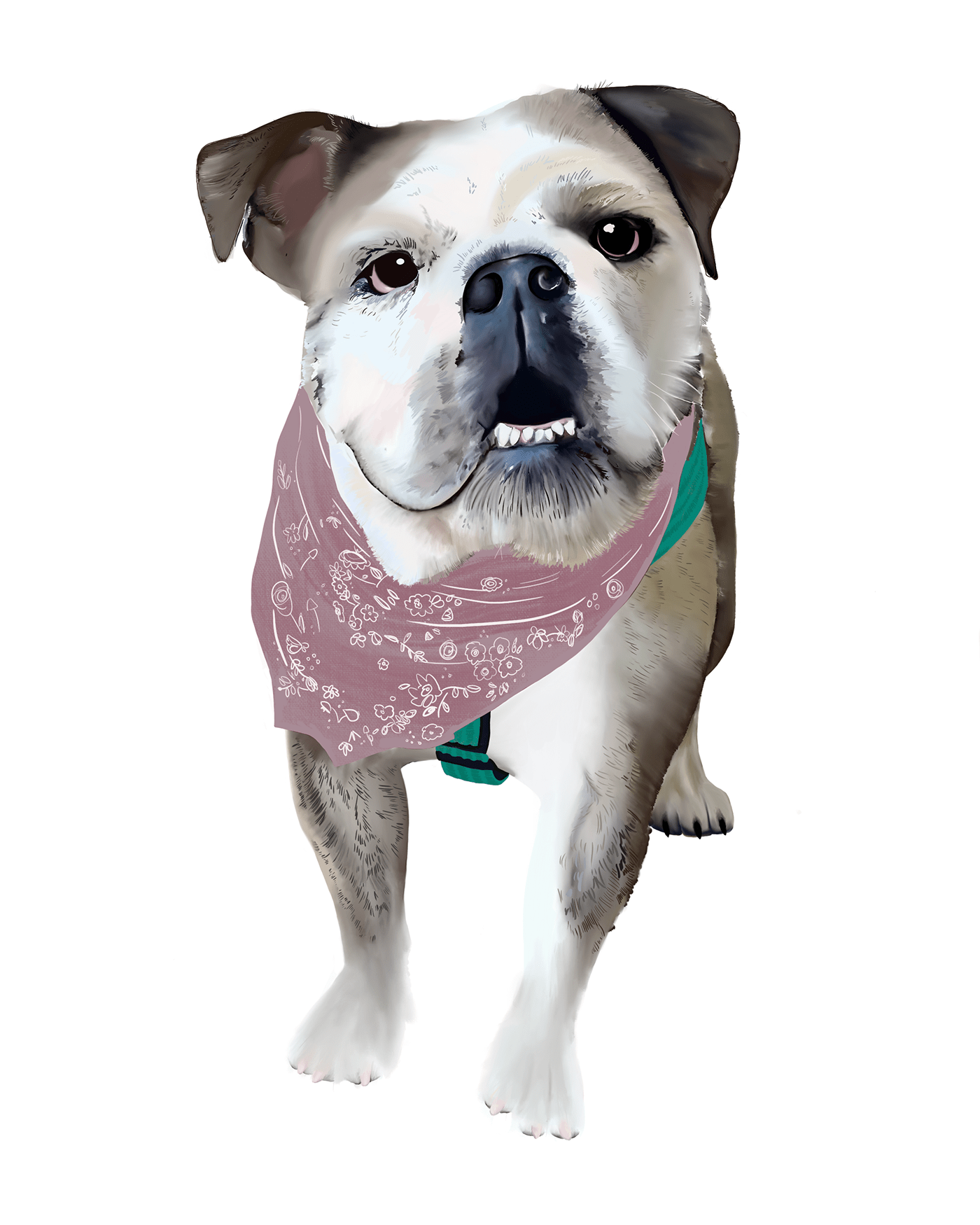 dogillustration-berkley.png