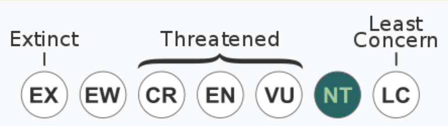 IUCN Status NT.png