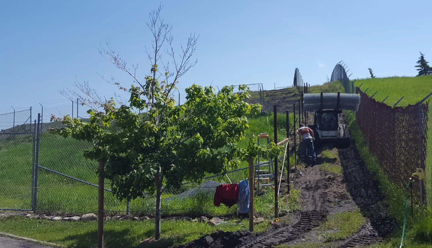 Fencing costs are higher than home chain-link because we have to use heavier (9-gauge) fencing to meet AZA standards, as well as making it 8 feet high and adding top wires.