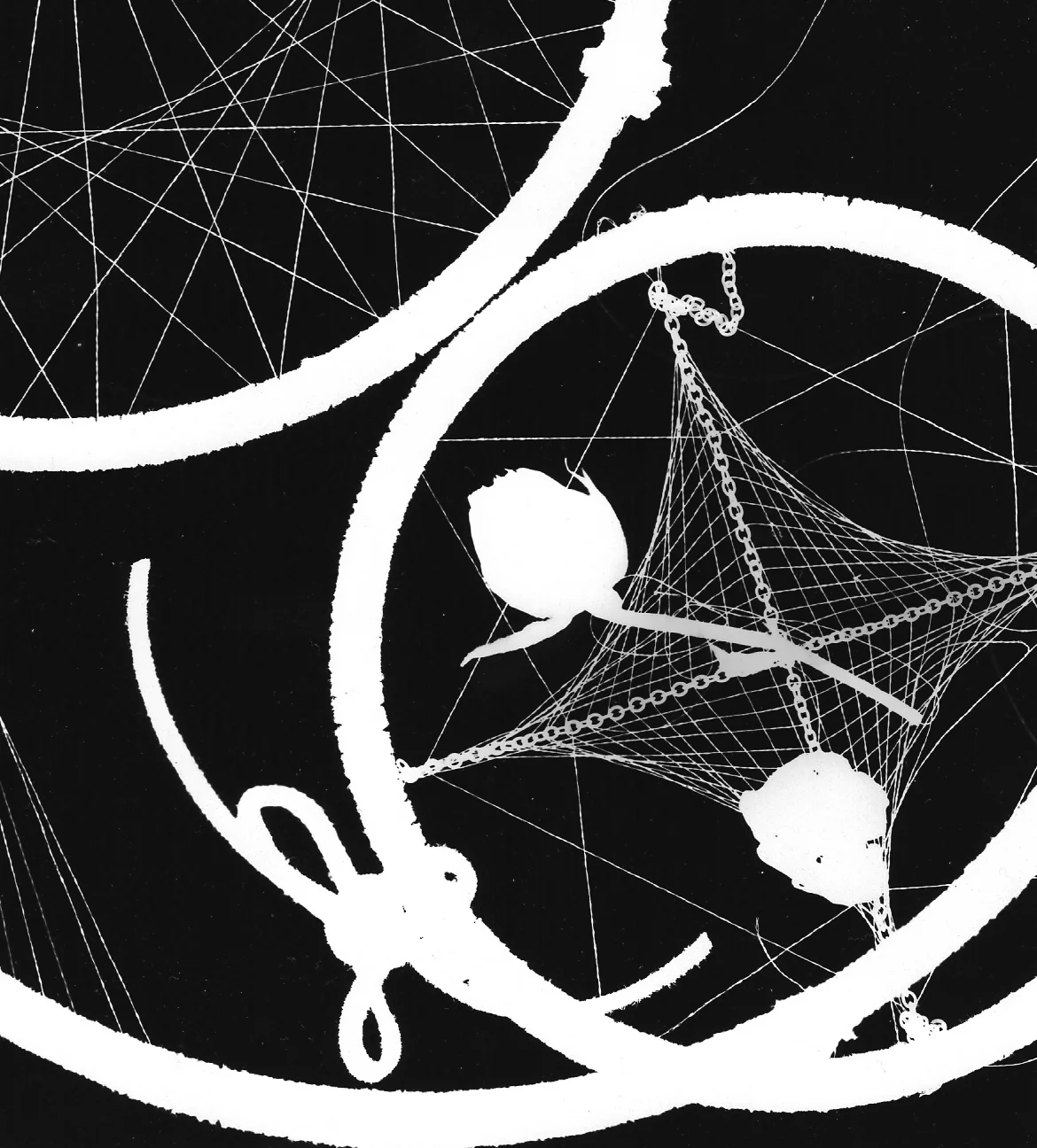 dreamcatchers.jpg