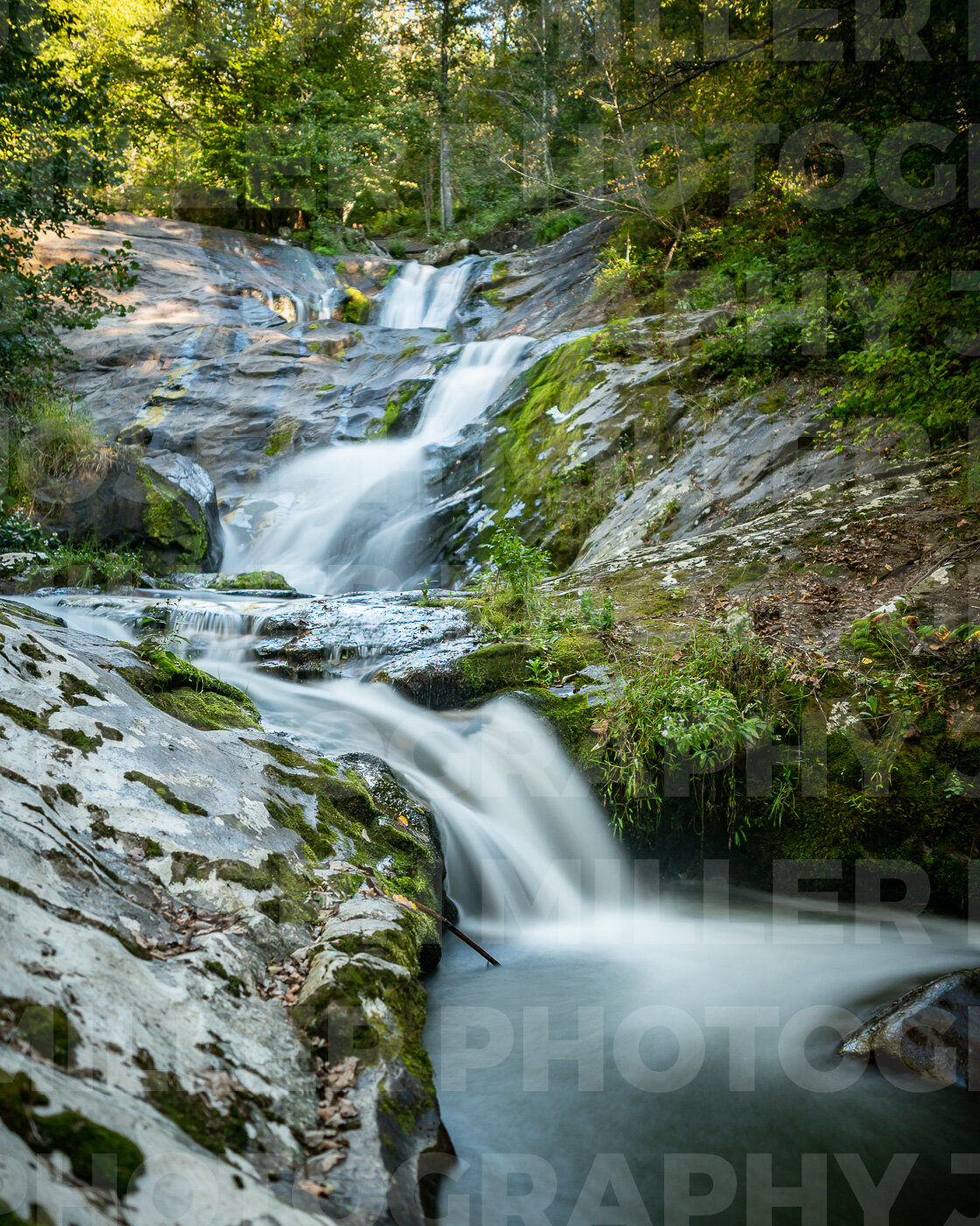 Waterfall - Statons Creek A