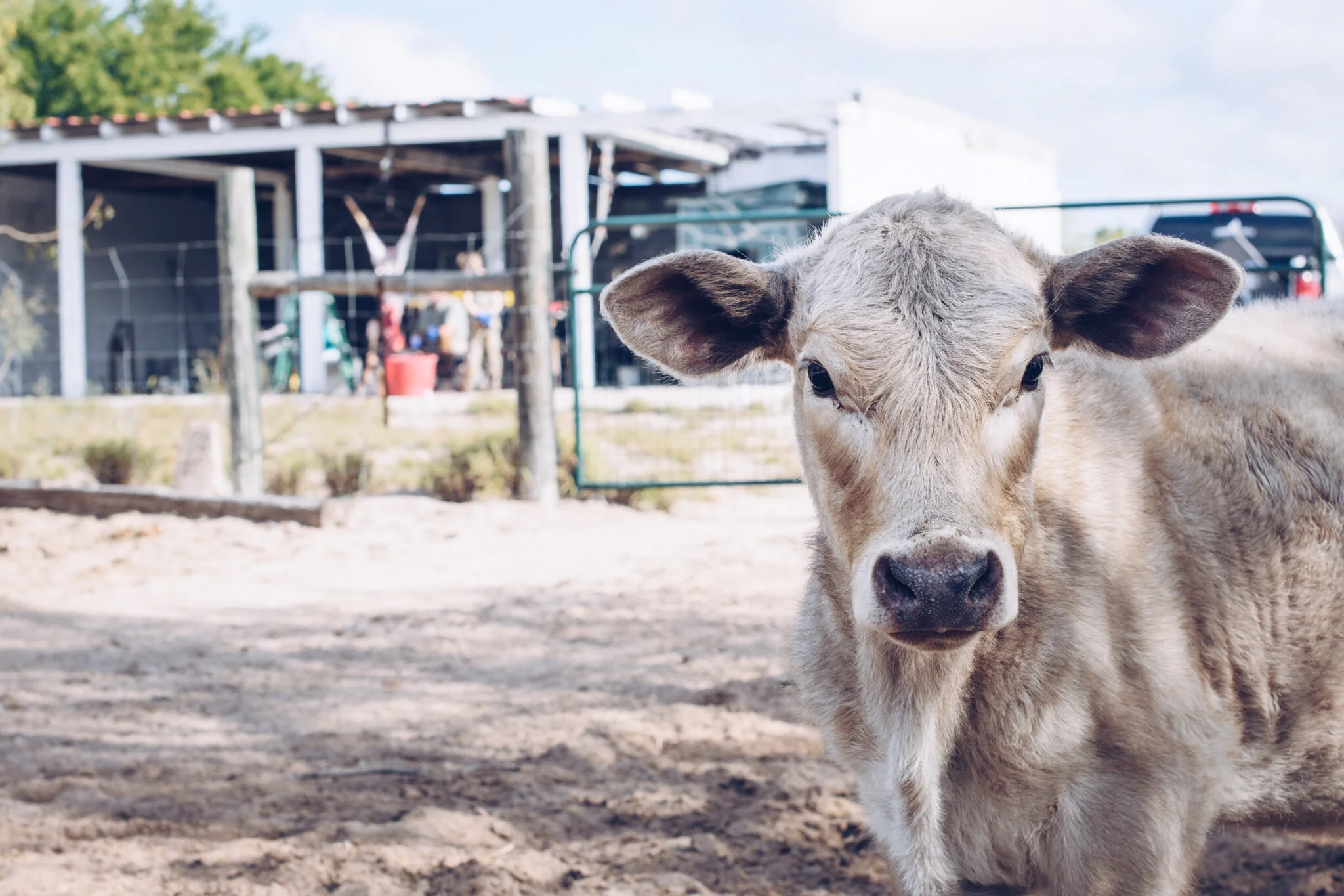 20191225-untitled225-32650 mmuntitled shoot.jpg