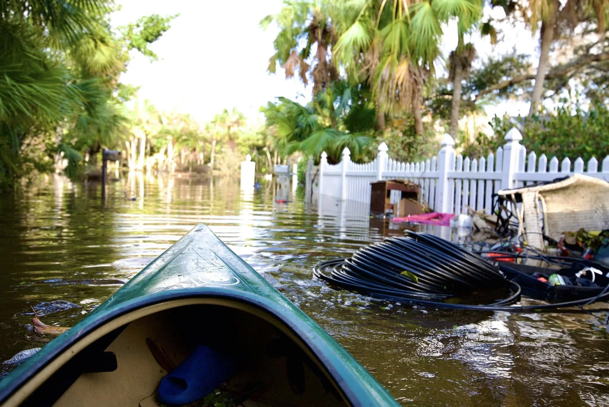 Nicole_Slaten_Siesta_Key_Photographer_Hurricane_Helene_Milton_Wildlfower7.jpg
