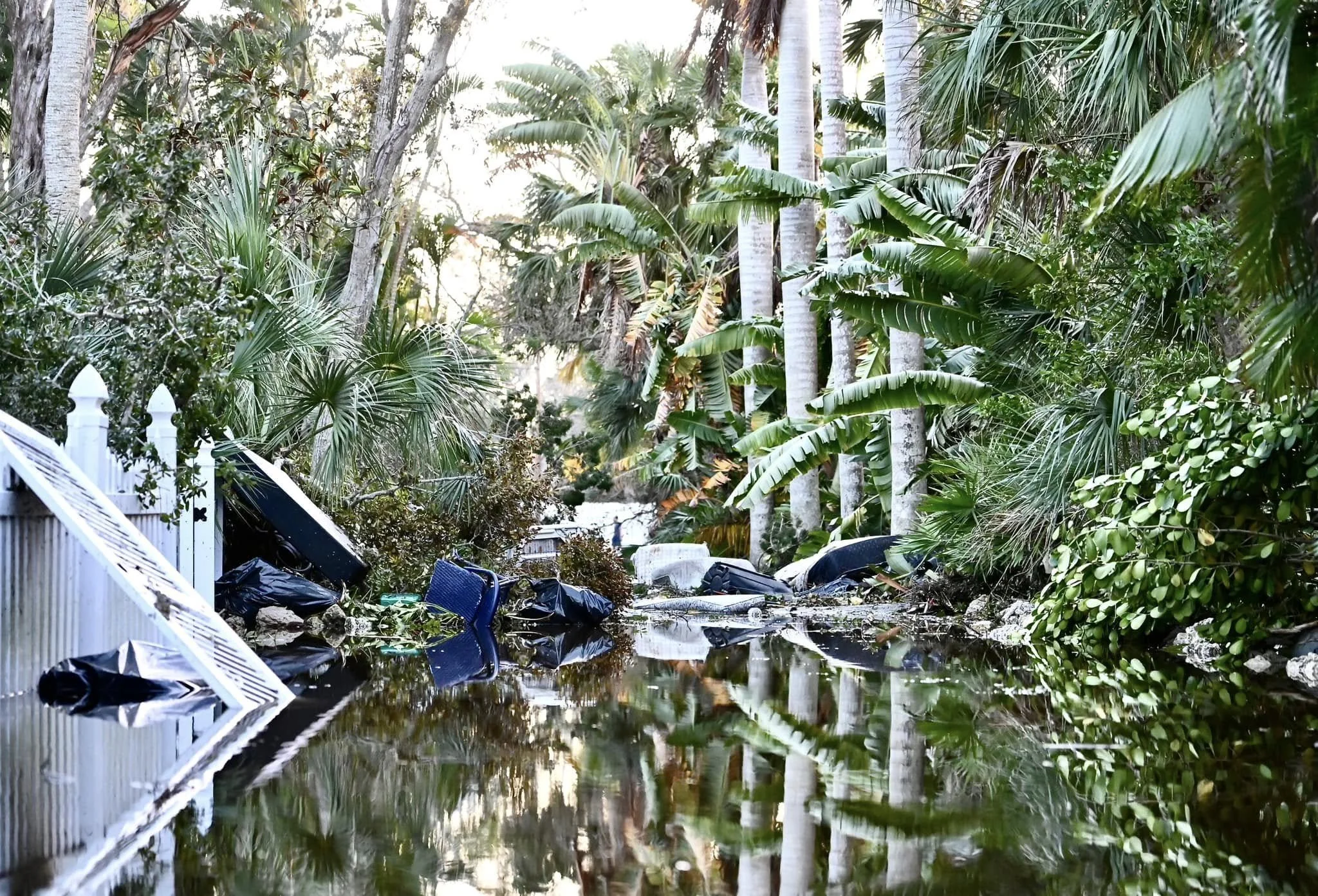 Nicole_Slaten_Siesta_Key_Photographer_Hurricane_Helene_Milton_Wildlfower16.jpg
