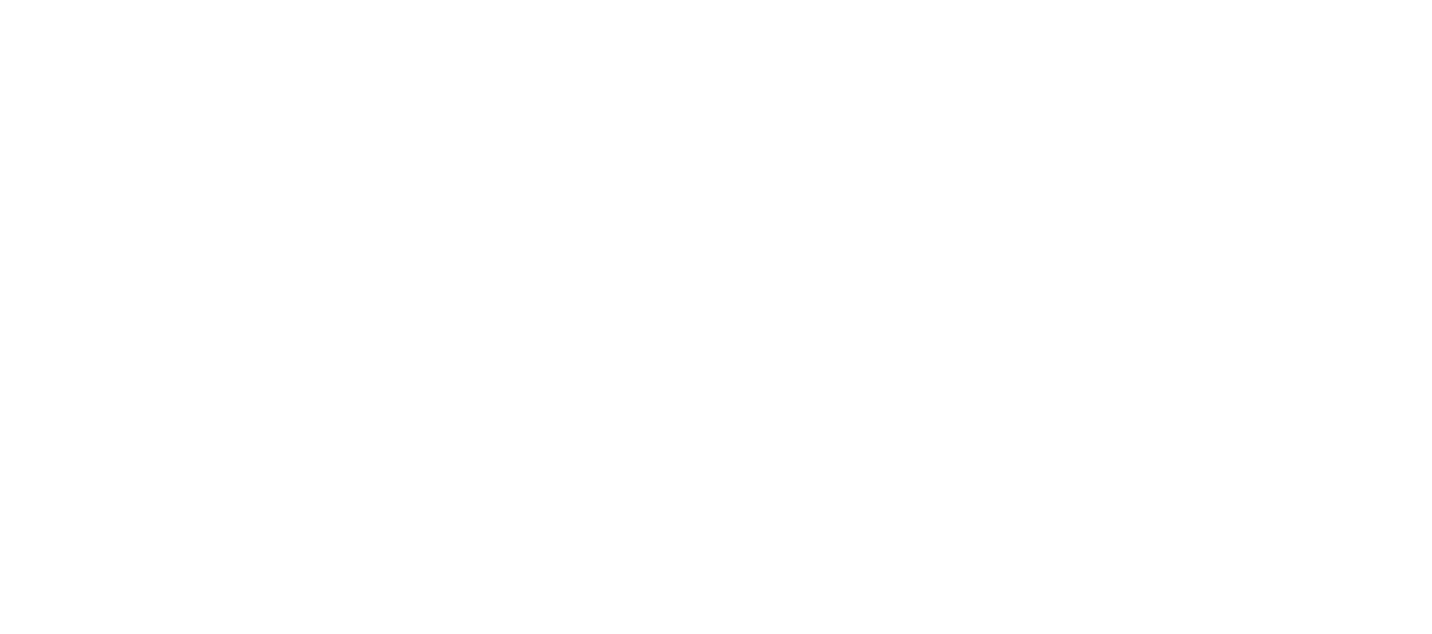 Toss