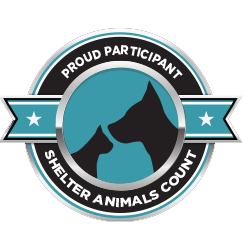 palm valley adoption center