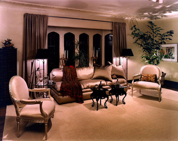 living room greenery plant carpet table chairs windows living room greenery plant carpet table chairs windows