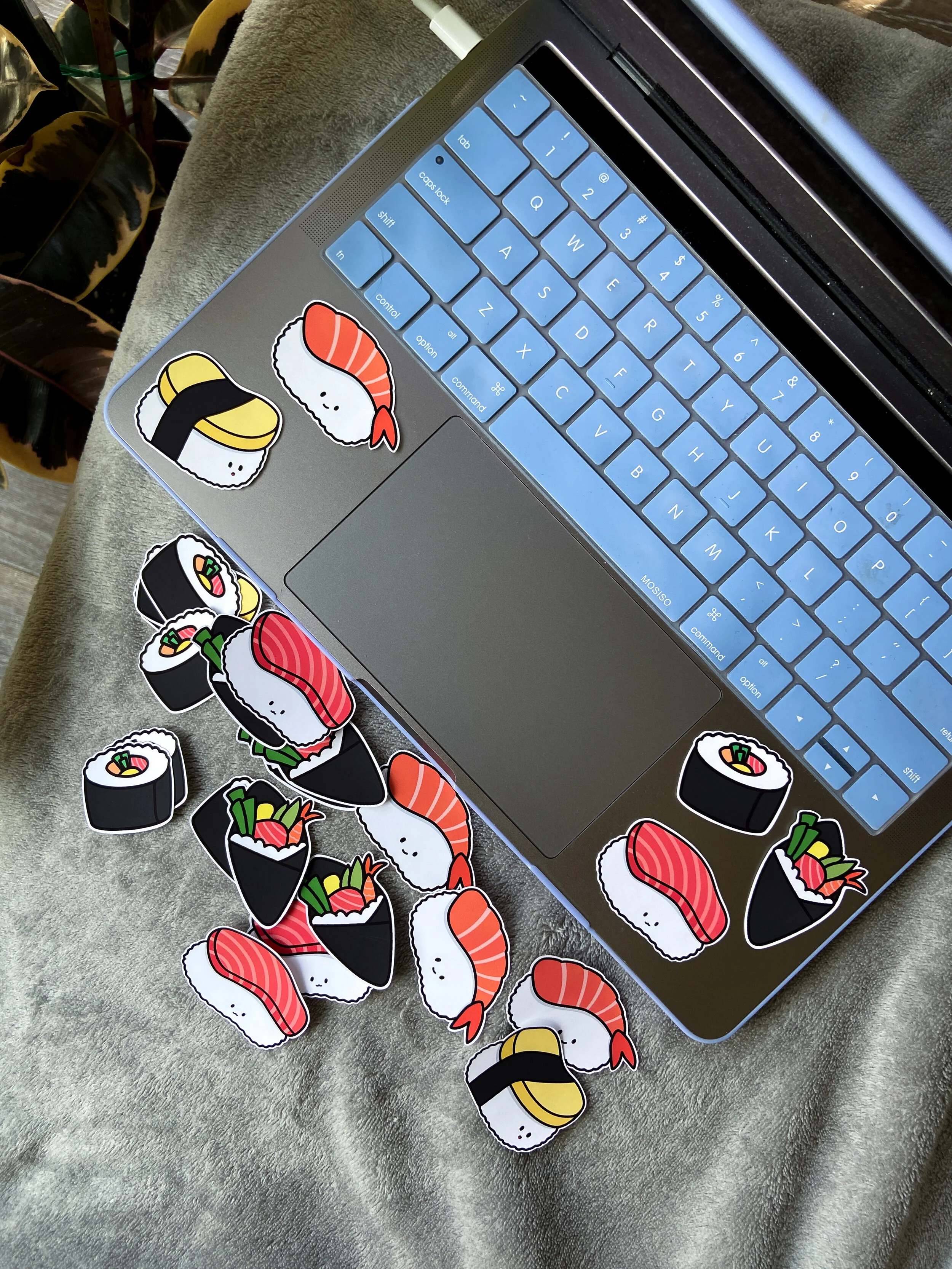 IMG_7835-2.jpg