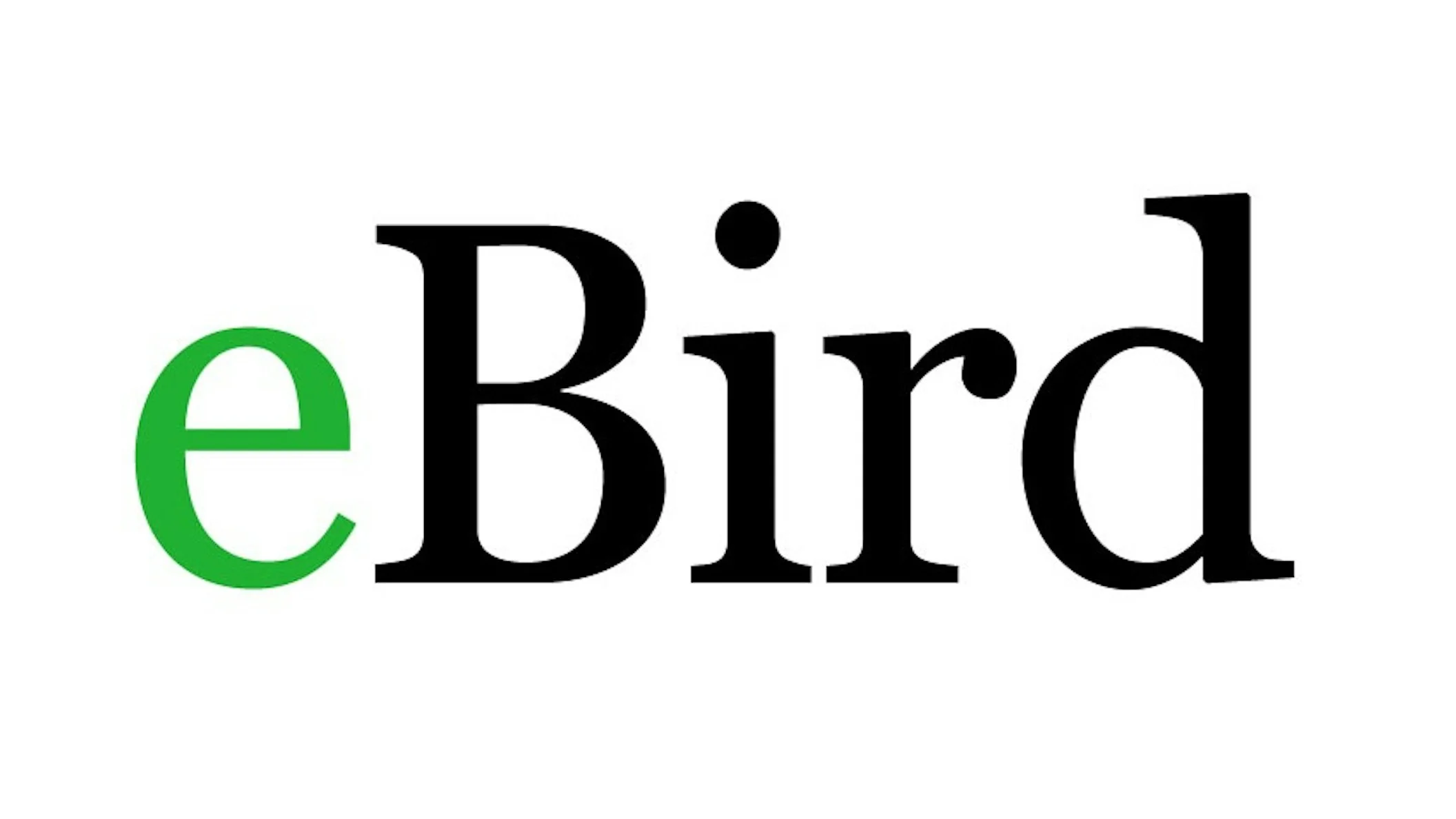 eBird Sightings, Jan 2026