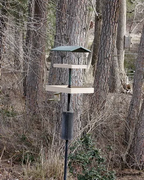 Two trays stacked atop one pole. These systems attract Finches, Nuthatches, Hairy and Downy Woodpeckers, Northern Flickers, Pileated Woodpeckers, three varieties of Nuthatches and two types of Chickadees.