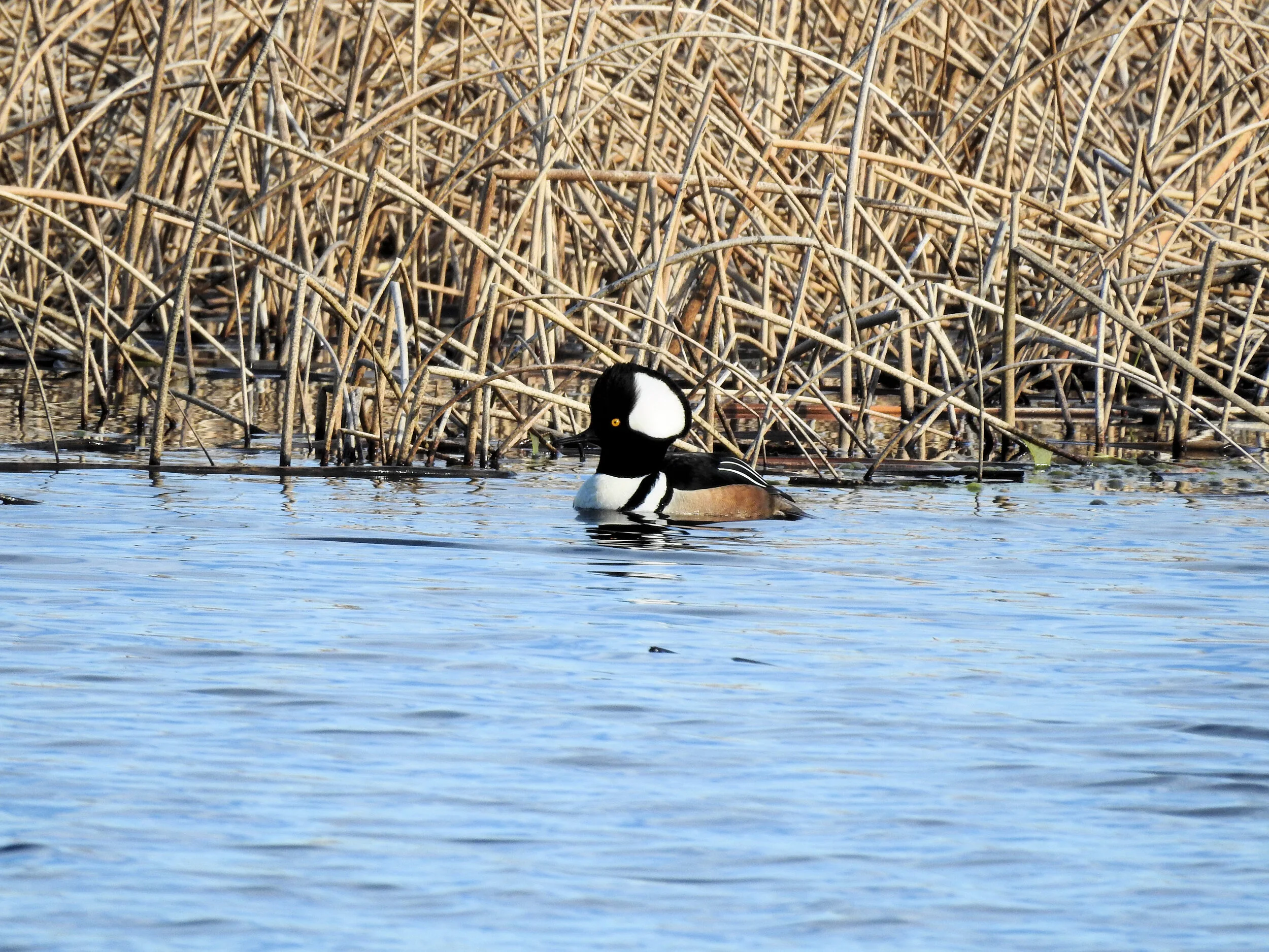 DSCN3745.JPG