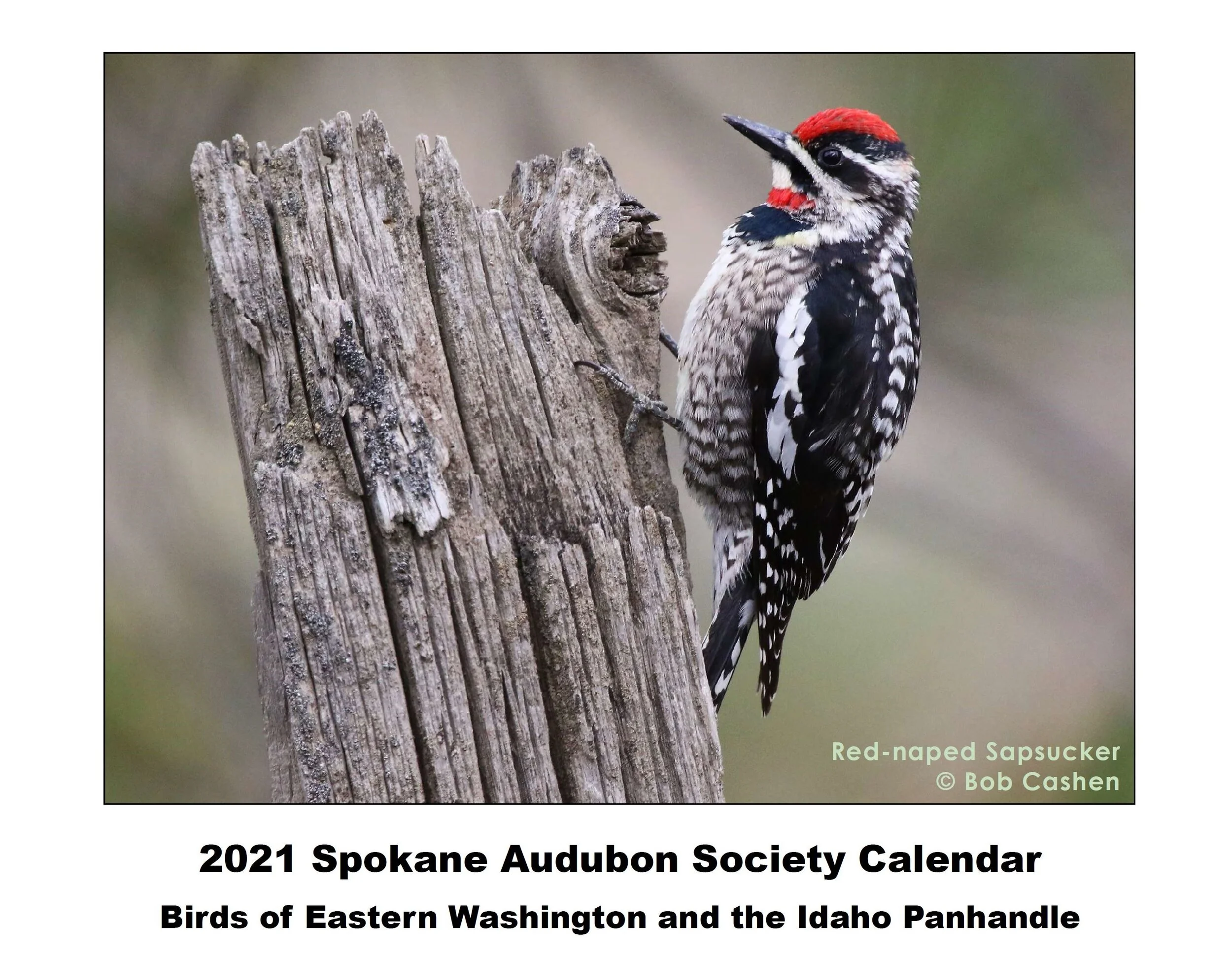 March General Meeting Cancelled