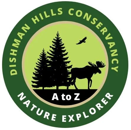 Dishman Hills A-to-Z Scavenger Hunt--Starts NOW