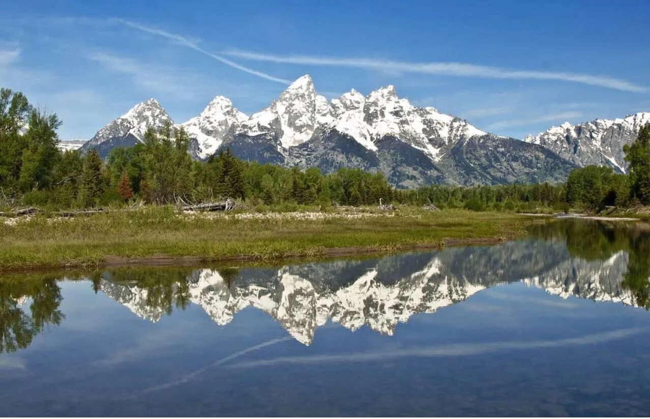 The Pygmy Owl - April 2021