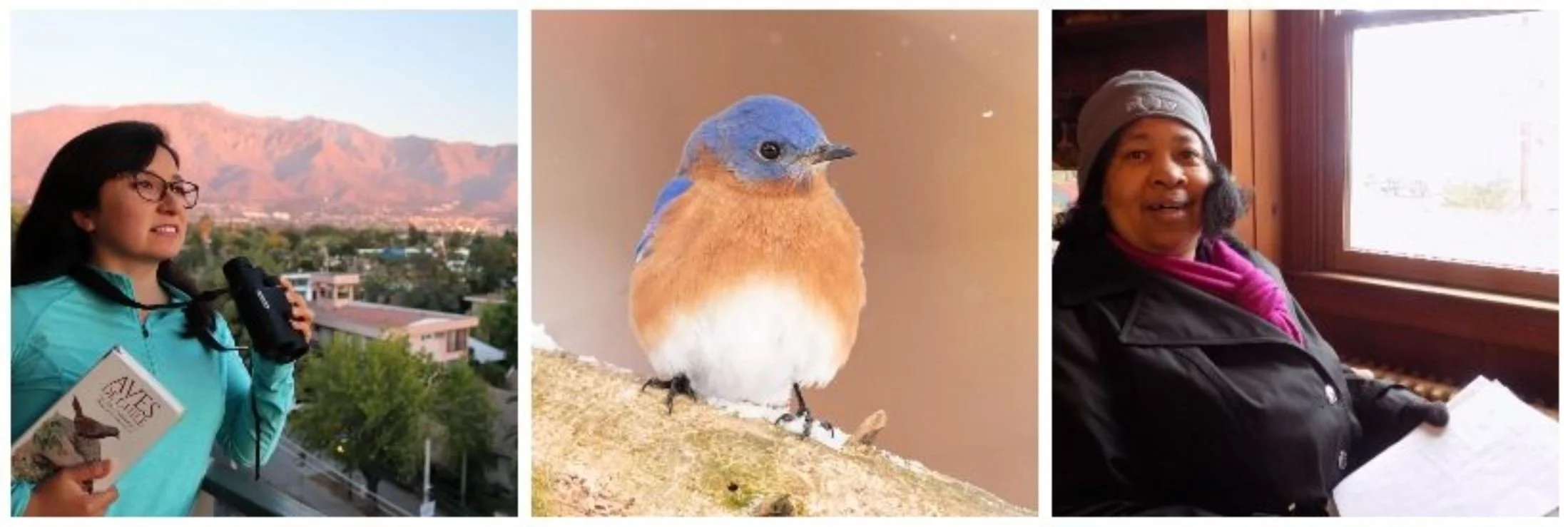 Great Backyard Bird Count