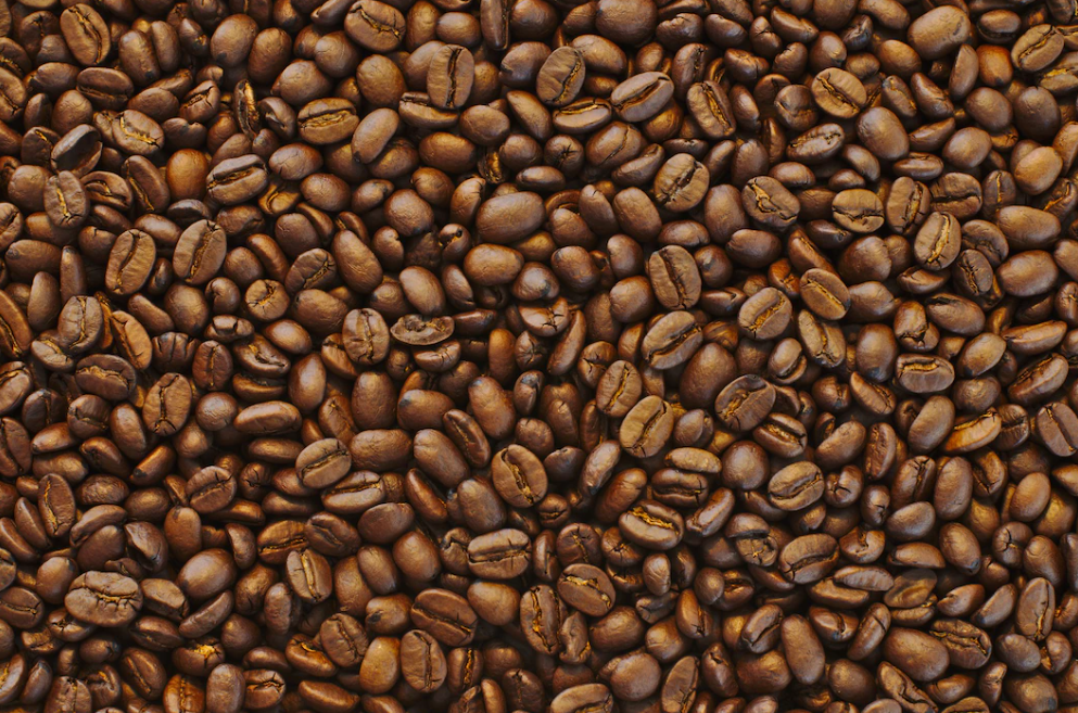 This Coffee is For the Birds