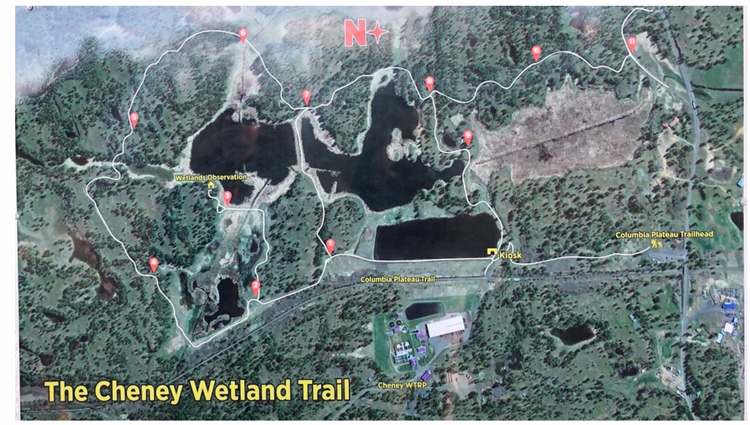 Cheney Wetlands Field Trip